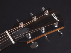 タイラー 114ce 214e 314ce Koa RW ローズウッド DLX deluxe エレアコ electric acoustic ES2 初心者 入門 女子 Plus プラス GA +