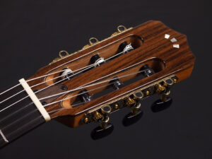 コルドバ ステージ ギター クラシック ガット ナイロン エレガット Nylon Classic ele Gut Godin A6 Duet Acoustasonic Fender Multiac