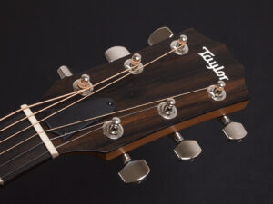 タイラー 114ce 414ce 314ce 2020 ローズウッド DLX deluxe エレアコ electric acoustic ES2 初心者 入門 プラス RW ローズ + koa 224