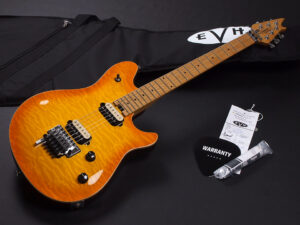 ヴァンヘイレン エディ Edward Van Halen Eddie PEAVEY Musicman Axis 5150 Friedman Brown ウルフギャング Kramer クレーマー