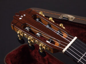 Gipsy Kings プロ ネグラ フラメンコ ボサノバ エレガット クラシック ボサノバ bossa nova Flamenco YAMAHA NCX5 NCX3 NTX5 NTX3 Nat