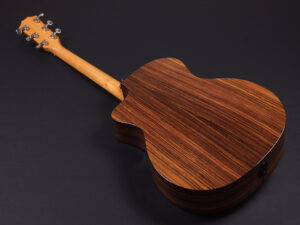 タイラー 114ce 414ce 314ce 2020 ローズウッド DLX deluxe エレアコ electric acoustic ES2 初心者 入門 プラス RW ローズ + koa 224