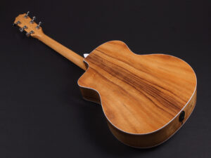 タイラー 214ce 314ce Koa Hawaiian Rosewood ハワイアンコア DLX deluxe エレアコ electric acoustic ES2 初心者 女子 女性 2017