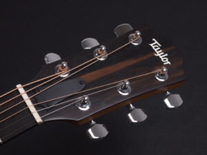 タイラー 114ce 214e 314ce Koa RW ローズウッド DLX deluxe エレアコ electric acoustic ES2 初心者 入門 女子 Plus プラス GA +