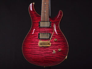 PRS Paul reed smith Custom ESP Greco Fernandes Burny LS Fender Bacchus Schector オーダー limited