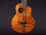 アヌエヌエ ハワイアンコア ミニ 小型 スモール ギター トラベル small guitar travel outdoor gs mini hawaiian koa Taylor 女子 子供 女性 初心者 入門 ビギナー