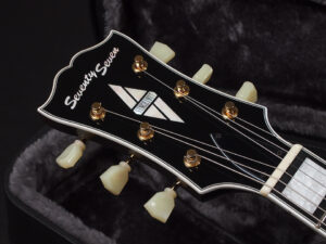 エクセルバート standard es-335 semi Hollow FGN Fujigen made in 日本製 momose Deviser Trans Black Brown ブラウン 茶色