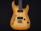 深煎りブラック bacchus momose seventy seven headway ディバイザー 2023 限定 thinline シンライン セミアコ Fホール stratocaster ST