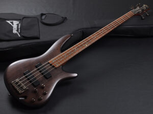 spector schecter warwick rock bass euro legend diamond active コンパクト 入門 アクティブ