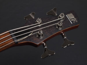 spector schecter warwick rock bass euro legend diamond active コンパクト 入門 アクティブ