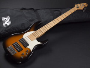 ESP ikuo AP Amaze Longway Artist Signature アーティストモデル シグネチャー 5弦 5st