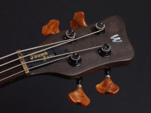 Spector Streamer Corvette Thumb Custom Shop Master Build NS EURO Rock ワーウィック active アクティブ