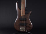 spector schecter warwick rock bass euro legend diamond active コンパクト 入門 アクティブ