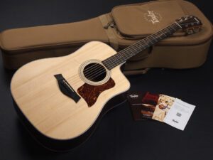 タイラー 114ce 110ce 214e 110e ローズウッド DLX deluxe エレアコ electric acoustic ES2 初心者 入門 プラス RW ローズ koa Plus N