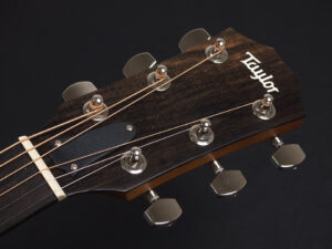 タイラー 110ce 214ce 2020 ローズウッド DLX RW deluxe エレアコ electric acoustic ES2 初心者 入門 プラス RW ローズ + koa 224 DN