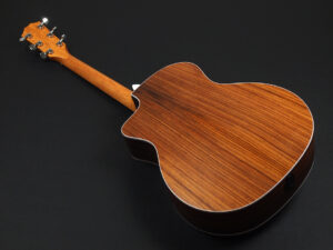 タイラー 114ce 214e 314ce Koa RW ローズウッド DLX deluxe エレアコ electric acoustic ES2 初心者 入門 女子 Plus プラス GA +