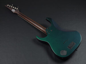 RG edwards E2 E-2 E-ll ESP jackson charvel フィッシュマン フルーエンス modern limited hardtail Spot 限定