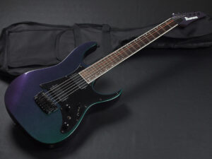 RG edwards E2 E-2 E-ll ESP jackson charvel フィッシュマン フルーエンス modern limited hardtail Spot 限定