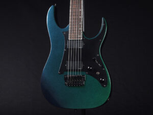 RG edwards E2 E-2 E-ll ESP jackson charvel フィッシュマン フルーエンス modern limited hardtail Spot 限定