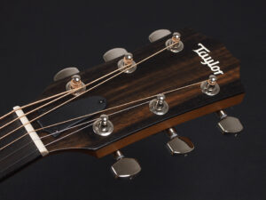 タイラー 114ce 414ce 314ce 2020 ローズウッド DLX deluxe エレアコ electric acoustic ES2 初心者 入門 プラス RW ローズ + koa 224