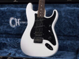 jackson EVH Kramer Ozzy Friedman Strat ESP Schecter Randy Dinky 白 パール HSS アーティストモデル signature