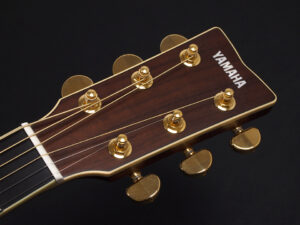 Brown Sunburst AC3R AC3M AC5R AC1R AC1M エレアコ 初心者 女子 女性 入門 ビギナー LL16 LL6 LS6 FS850 オール単板 日本製 Japan Brown Sunburst AC3R AC3M AC5R AC1R AC1M エレアコ 初心者 女子 女性 入門 ビギナー LL16 LL6 LS6 FS850 オール単板 日本製 Japan