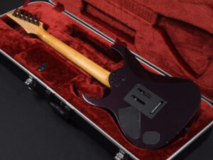 RG edwards E2 E-2 E-ll ESP jackson charvel フィッシュマン フルーエンス modern limited hardtail フジゲン fujigen 富士弦 日本製