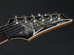 RG edwards E2 E-2 E-ll ESP jackson charvel フィッシュマン フルーエンス modern limited hardtail フジゲン fujigen 富士弦 日本製