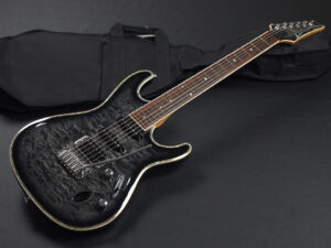 RG edwards E2 E-2 E-ll ESP jackson charvel フィッシュマン フルーエンス modern limited hardtail フジゲン fujigen 富士弦 日本製