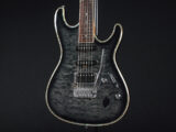 RG edwards E2 E-2 E-ll ESP jackson charvel フィッシュマン フルーエンス modern limited hardtail フジゲン fujigen 富士弦 日本製