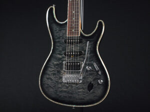 RG edwards E2 E-2 E-ll ESP jackson charvel フィッシュマン フルーエンス modern limited hardtail フジゲン fujigen 富士弦 日本製