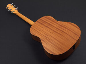 タイラー 114e 110ce 110e 212ce 214ce 112ce サペリ Sapele koa Rosewood GP カッタウェイ エレアコ 女性 女子 初心者 ビギナー 子供 入門