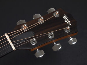 タイラー 114ce 214e 314ce Koa RW ローズウッド DLX deluxe エレアコ electric acoustic ES2 初心者 入門 女子 Plus プラス GA +