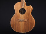 CCAN2EC-BLBL コールクラーク エレアコ Grand Auditorium 2 Series BLBLSB RDBL RDBLSB RDSO SSO GA Takamine PTU Natural エレアコ