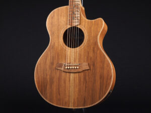 CCAN2EC-BLBL コールクラーク エレアコ Grand Auditorium 2 Series BLBLSB RDBL RDBLSB RDSO SSO GA Takamine PTU Natural エレアコ