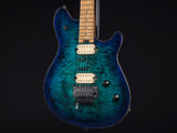 ヴァンヘイレン エディ Edward Van Halen Eddie PEAVEY Musicman Axis 5150 Friedman Brown ウルフギャング Kramer クレーマー
