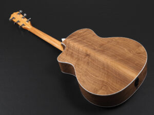 タイラー 114ce 112ce 212ce 314ce Rosewood ローズウッド walnut ウォルナット エレアコ ES2 初心者 入門 女子 ビギナー 子供 Plus プラス GA NT