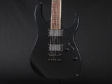RG edwards E2 E-2 E-ll ESP jackson charvel Dimarzio ディマジオ modern limited