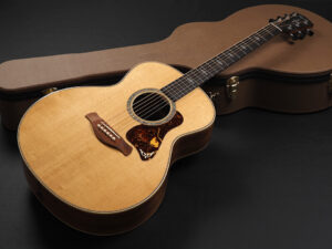 タイラー 814ce 914ce Builder's Edition New Model ビルダーズ エディション Hawaiian Koa ハワイアン コア ゴールド レーベル ラベル