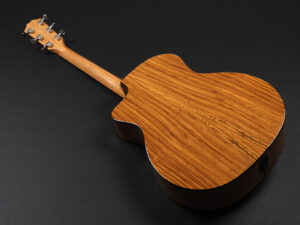 タイラー 114ce 214ce 314ce 414ce + Rosewood DLX deluxe エレアコ electric acoustic ビギナー 女子 初心者 プラス LTD 50th