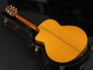 タカミネ 高峰 エレガット クラシック ギター ナイロン elegut TSP148NC PTU340N YAMAHA NTX700 NCX700 NTX900 Natural ナチュラル Clear