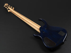 Fender Bacchus Warwick ibanez Fujigen YAMAHA Sadowsky MTD 5弦 5st アクティブ