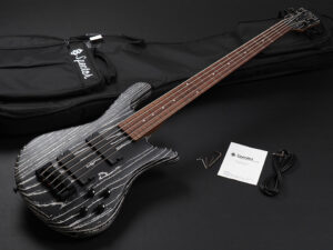 warwick streamer Thumb スペクター スタインバーガー NS Design Limited LTD CL Custom Euro USA Legend