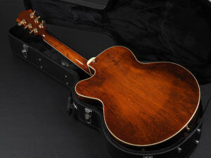 フルアコ セミアコ Ibanez godin 5th avenue full acoustic aco semi ES-175 Gibson AR-175CE A.Red jazz ジャズ L-4