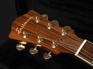 フルアコ セミアコ Ibanez godin 5th avenue full acoustic aco semi ES-175 Gibson AR-175CE A.Red jazz ジャズ L-4