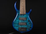 Fender Bacchus Warwick ibanez Fujigen YAMAHA Sadowsky MTD 5弦 5st アクティブ