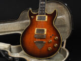 イバニーズ フジゲン 富士弦 fujigen made in Japan Vintage AR Artist Series アーティスト 日本製 AR300 AR500 AR1200 AR112 SB