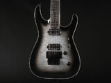 ESP Charvel Dean EVH Kramer Dinky M ll 2 randy RR RV Stars Grover USA Pro Rhoads Kelly