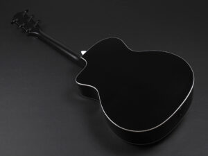 タイラー 114ce 214ce 314ce 414ce + Rosewood DLX deluxe エレアコ ビギナー 入門 女子 初心者 プラス LTD トランスブルー ブルー 青 Denim