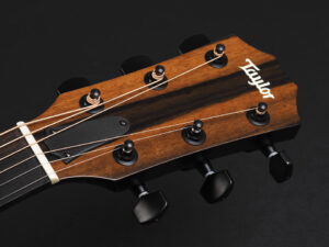 タイラー 114ce 214ce 314ce 414ce + Rosewood DLX deluxe エレアコ ビギナー 入門 女子 初心者 プラス LTD トランスブルー ブルー 青 Denim